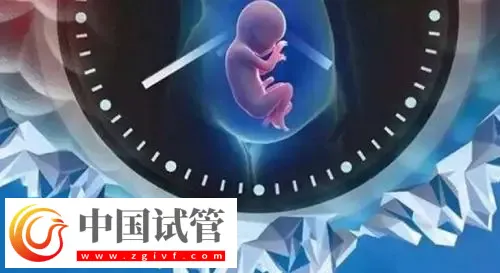 重庆助孕机构名单汇总,附联系方式与三代包生男孩费用清单(图1) 重庆助孕机构名单汇总,附联系方式与三代包生男孩费用清单(图1)