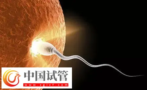 重庆助孕机构名单汇总,附联系方式与三代包生男孩费用清单(图3) 重庆助孕机构名单汇总,附联系方式与三代包生男孩费用清单(图3)