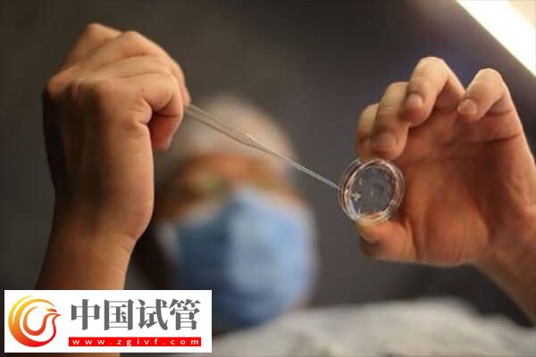 做试管婴儿会不会有后遗症(图1) 做试管婴儿会不会有后遗症(图1)