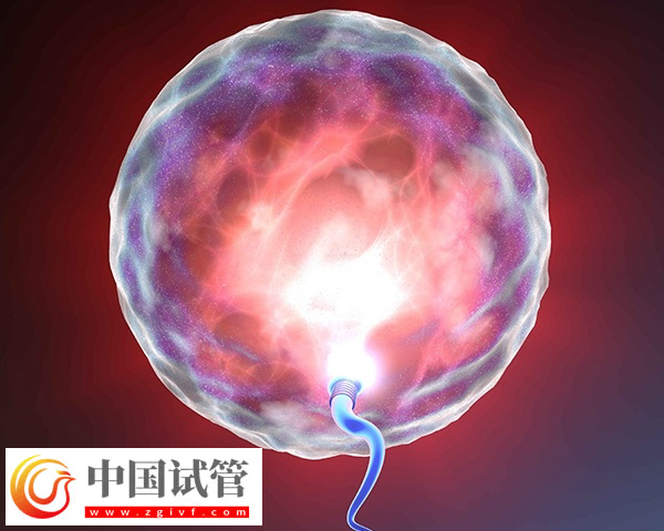 FSH高做试管是否需要吃补佳乐降FSH建议以医务工作人员的嘱咐为准,因为每个患者的身体状态不同,能否服用该药物也是不一样的,但要注意,该药物确实可以帮助调节激素水平,改善卵巢功能以及增加卵子质量等方式发挥作用,有助于降低FSH数值并提高雌二醇的含量。只是有一点要引起重视,这通常需要在医生的指导下进行,确保用药的剂量和时间正确无误。 补佳乐可以调节激素水平 FSH高做试管是否需要吃补佳乐降FSH(图2) 女性fsh高做试管能不能配出高质量胚胎(图2)