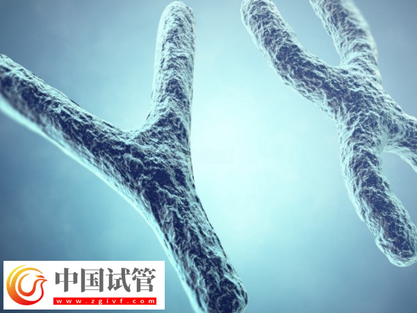 乌克兰irm医院到底好不好(图2) 乌克兰irm医院到底好不好(图2)