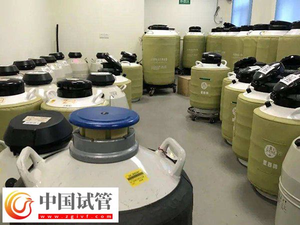 做供精试管可否自行选择相貌(图2) 做供精试管可否自行选择相貌(图2)