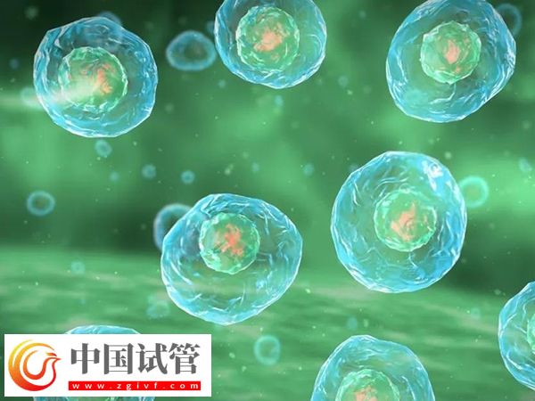 申请供精试管可以生育几胎(图2) 申请供精试管可以生育几胎(图2)