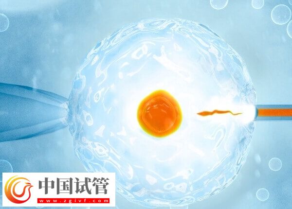 囊胚是4开头好还是5开头好(图1) 囊胚是4开头好还是5开头好(图1)