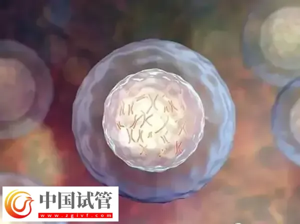 为什么俄罗斯试管成功率那么高(图1) 为什么俄罗斯试管成功率那么高(图1)