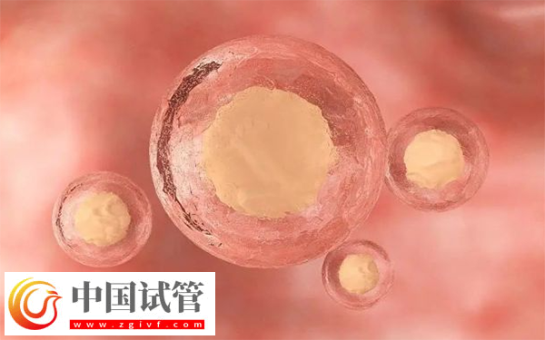 普通促排和试管促排哪个好(图1) 普通促排和试管促排哪个好(图1)