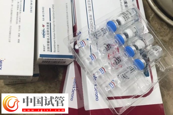 普通促排和试管促排哪个好(图2) 普通促排和试管促排哪个好(图2)