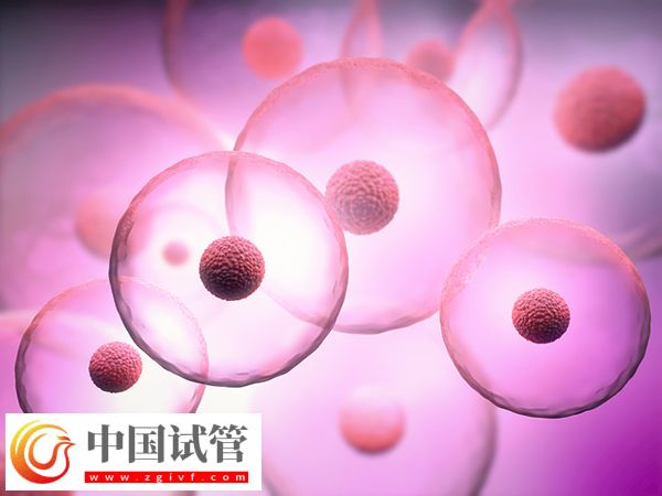 试管促排针和促排药哪种好(图1) 试管促排针和促排药哪种好(图1)
