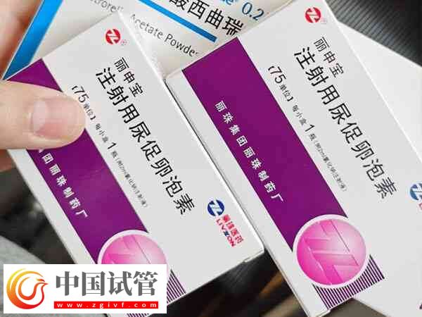 肥胖人群做试管为何要减肥(图1) 肥胖人群做试管为何要减肥(图1)
