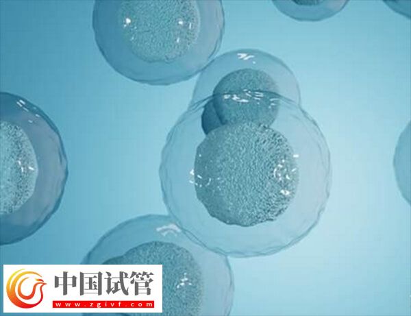 试管怎样让卵泡长均匀(图2) 试管怎样让卵泡长均匀(图2)