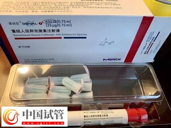 试管怎样让卵泡长均匀(图1) 试管怎样让卵泡长均匀(图1)