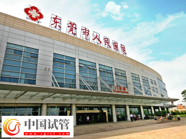 在东莞人民医院做试管成功率高不高(图1) 在东莞人民医院做试管成功率高不高(图1)