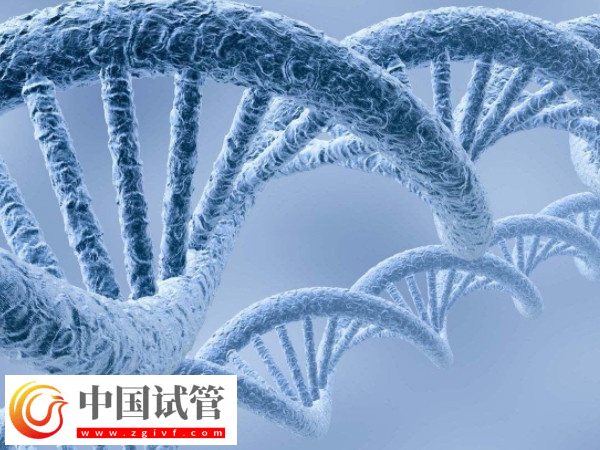 做供精成功后是否要做无创DNA(图1) 做供精成功后是否要做无创DNA(图1)