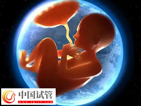 做供精成功后是否要做无创DNA(图2) 做供精成功后是否要做无创DNA(图2)