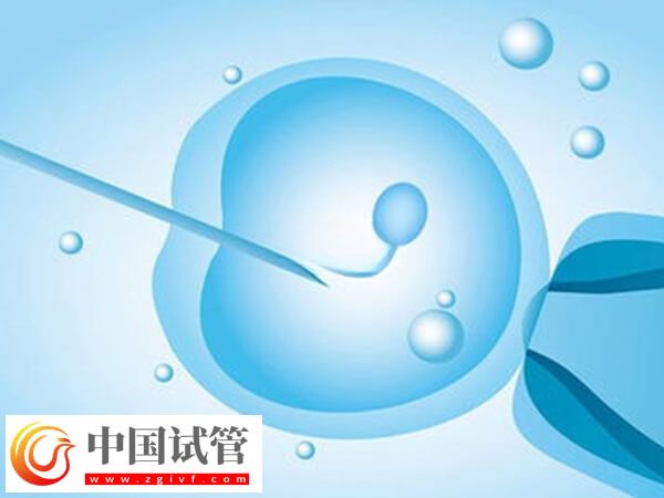 试管失败是不是等于流产(图1) 试管失败是不是等于流产(图1)