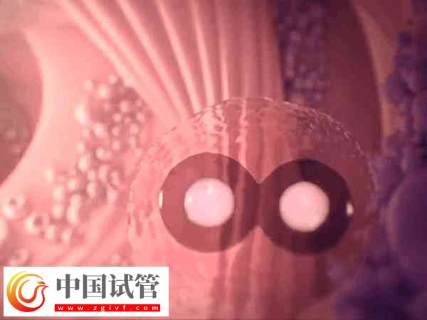 试管失败是不是等于流产(图2) 试管失败是不是等于流产(图2)