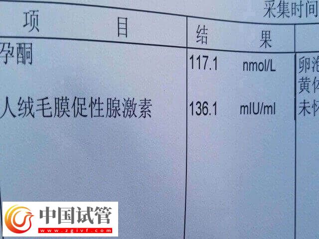 胚胎移植后查孕酮有没有意义(图2) 胚胎移植后查孕酮有没有意义(图2)