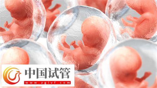 揭秘试管供卵自怀的最高年龄(图1) 揭秘试管供卵自怀的最高年龄(图1)