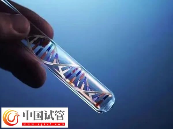试管婴儿适用于哪些人(图1) 试管婴儿适用于哪些人(图1)