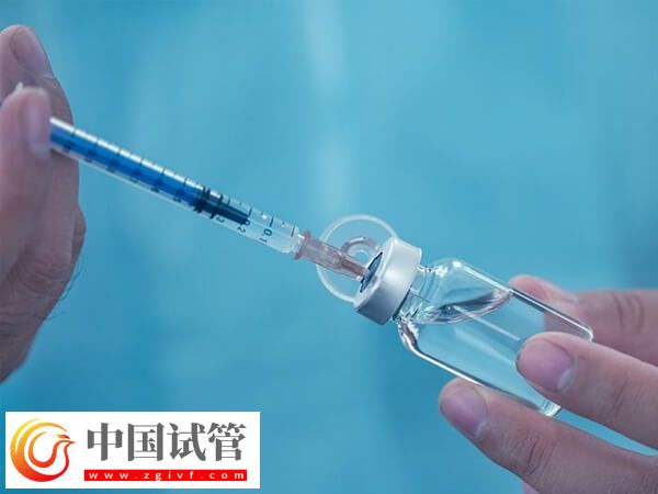 试管促排方案哪个好(图2) 试管促排方案哪个好(图2)
