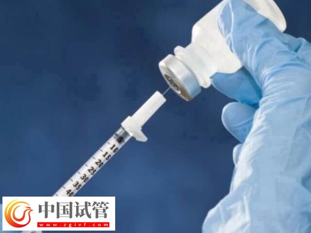 试管促排方案哪个好(图1) 试管促排方案哪个好(图1)