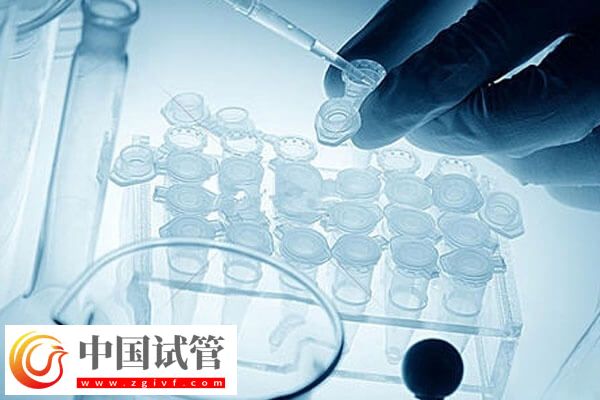 做试管婴儿的时间怎么安排(图3) 做试管婴儿的时间怎么安排(图3)