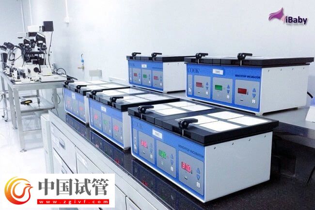 DNAAF2基因突变是什么情况(图1) DNAAF2基因突变是什么情况(图1)