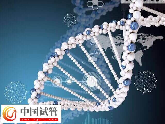 什么是DRC1基因突变(图1) 什么是DRC1基因突变(图1)