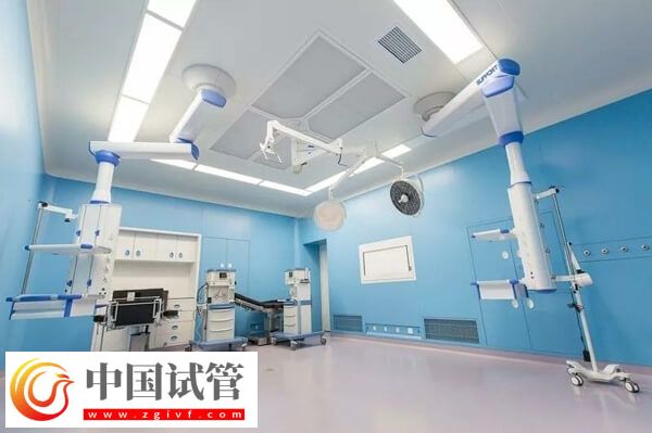 什么是DRC1基因突变(图2) 什么是DRC1基因突变(图2)