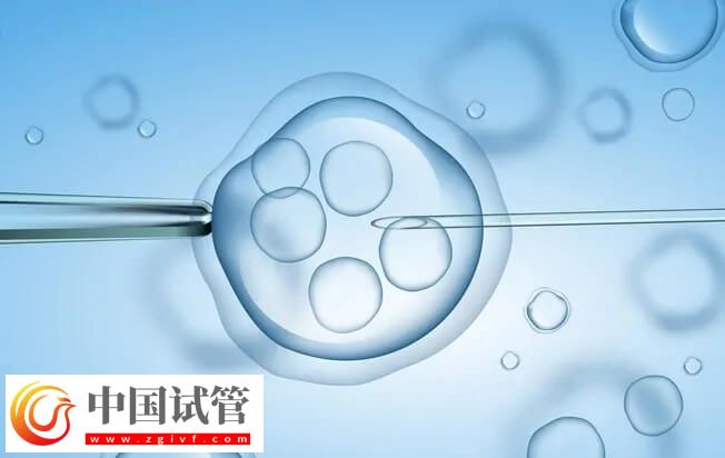 冻胚移植失败了是不是质量不好(图1) 冻胚移植失败了是不是质量不好(图1)