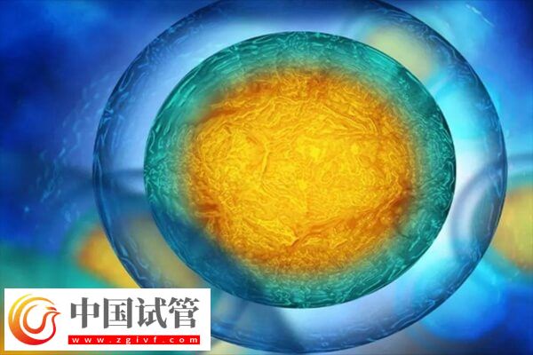 胚胎移植后会不会自己掉下来(图1) 胚胎移植后会不会自己掉下来(图1)