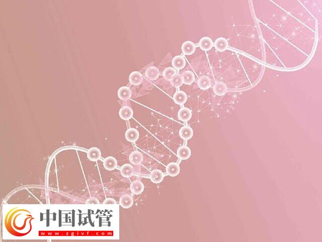 CCDC39基因突变能不能做试管(图2) CCDC39基因突变能不能做试管(图2)