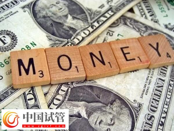 试管婴儿怎么做能省钱(图3) 试管婴儿怎么做能省钱(图3)