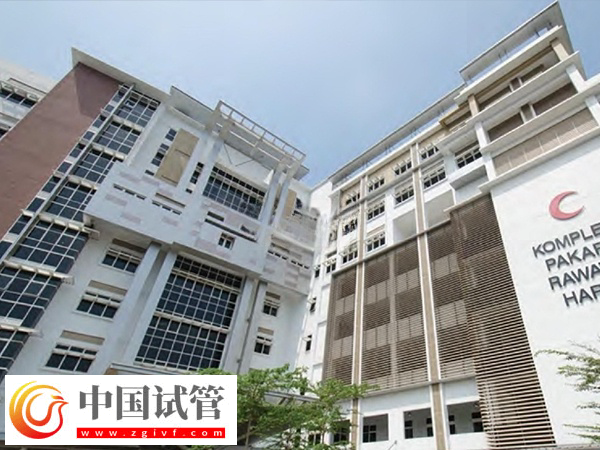 去泰国做试管有没有受骗的(图4)