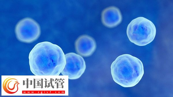 去泰国做试管有没有受骗的(图1)