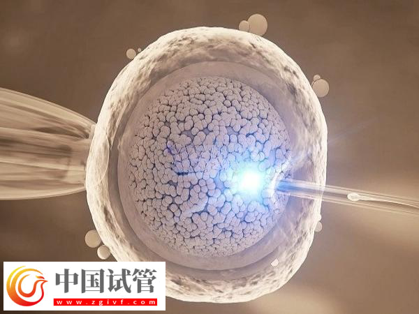 前往北京做试管费用是多少(图1) 前往北京做试管费用是多少(图1)
