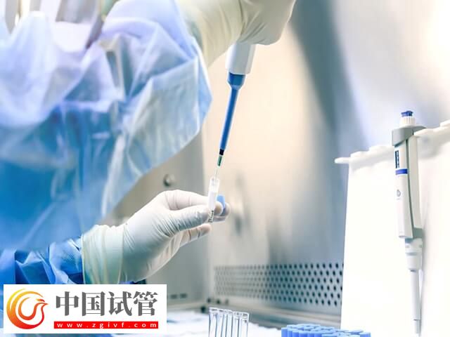 精子质量差做试管成功率多少(图2) 精子质量差做试管成功率多少(图2)