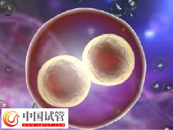 浙江温州附二医试管好不好(图2) 浙江温州附二医试管好不好(图2)