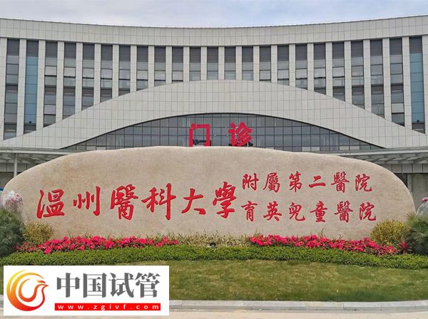 浙江温州附二医试管好不好(图1) 浙江温州附二医试管好不好(图1)