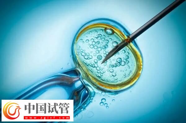 试管婴儿是不是容易引发早产(图2) 试管婴儿是不是容易引发早产(图2)