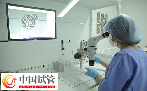 试管婴儿是不是容易引发早产(图1) 试管婴儿是不是容易引发早产(图1)