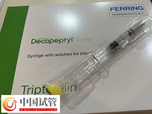试管长方案跟短方案哪个好(图1) 试管长方案跟短方案哪个好(图1)