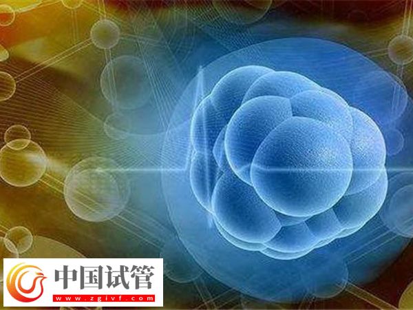 女性卵巢早衰对移植有无影响(图2) 女性卵巢早衰对移植有无影响(图2)