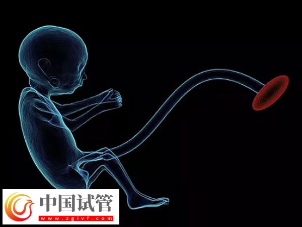 试管出生双胞胎的健康与什么有关(图1) 试管出生双胞胎的健康与什么有关(图1)