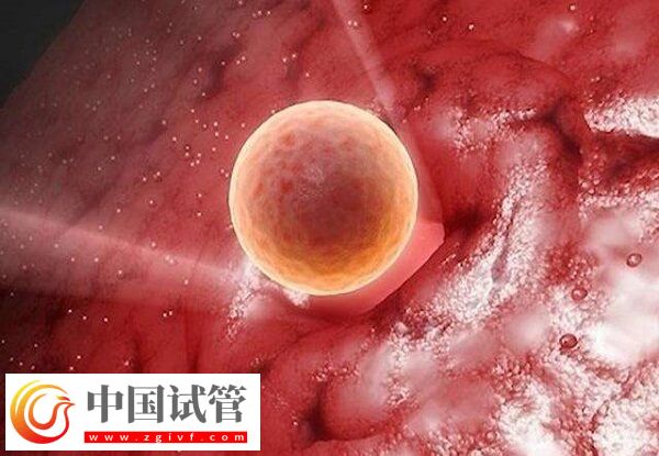 卵巢早衰amh值0.08试管能不能成功(图2) 卵巢早衰amh值0.08试管能不能成功(图2)
