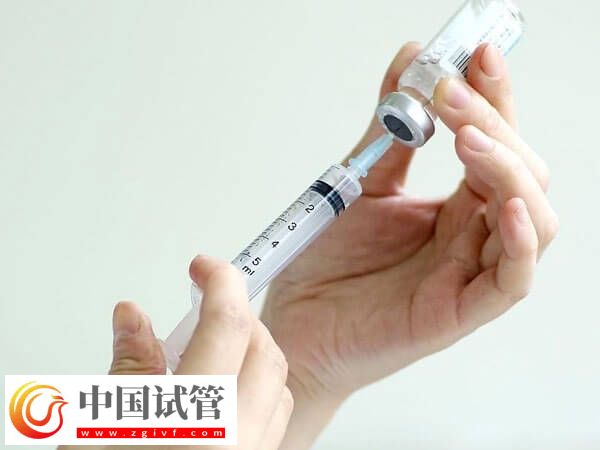 微刺激方案取卵质量高不高(图1) 微刺激方案取卵质量高不高(图1)