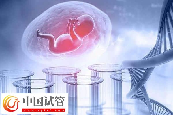 做试管婴儿要建档后才能进入促排卵周期吗?(图1) 做试管婴儿要建档后才能进入促排卵周期吗?(图1)