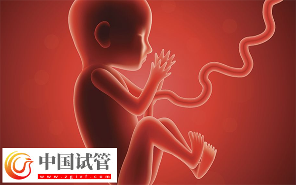 试管胚胎移植做二超能不能转产科(图1) 试管胚胎移植做二超能不能转产科(图1)