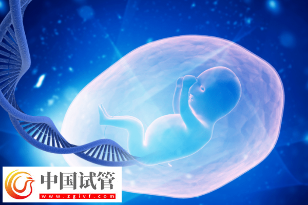 如何解读胚胎筛查结果报告单(图2) 如何解读胚胎筛查结果报告单(图2)