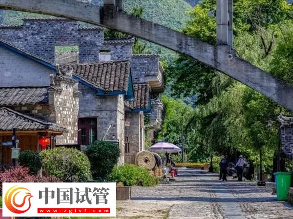 景德镇人工助孕妇幼好还是人民医院好?(图1) 景德镇人工助孕妇幼好还是人民医院好?(图1)